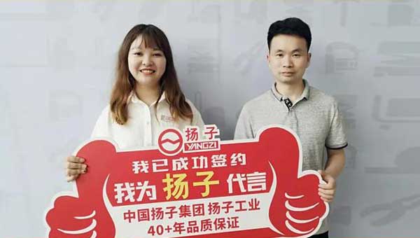 Yangzi se ha convertido en una marca popular para los agentes de decoración